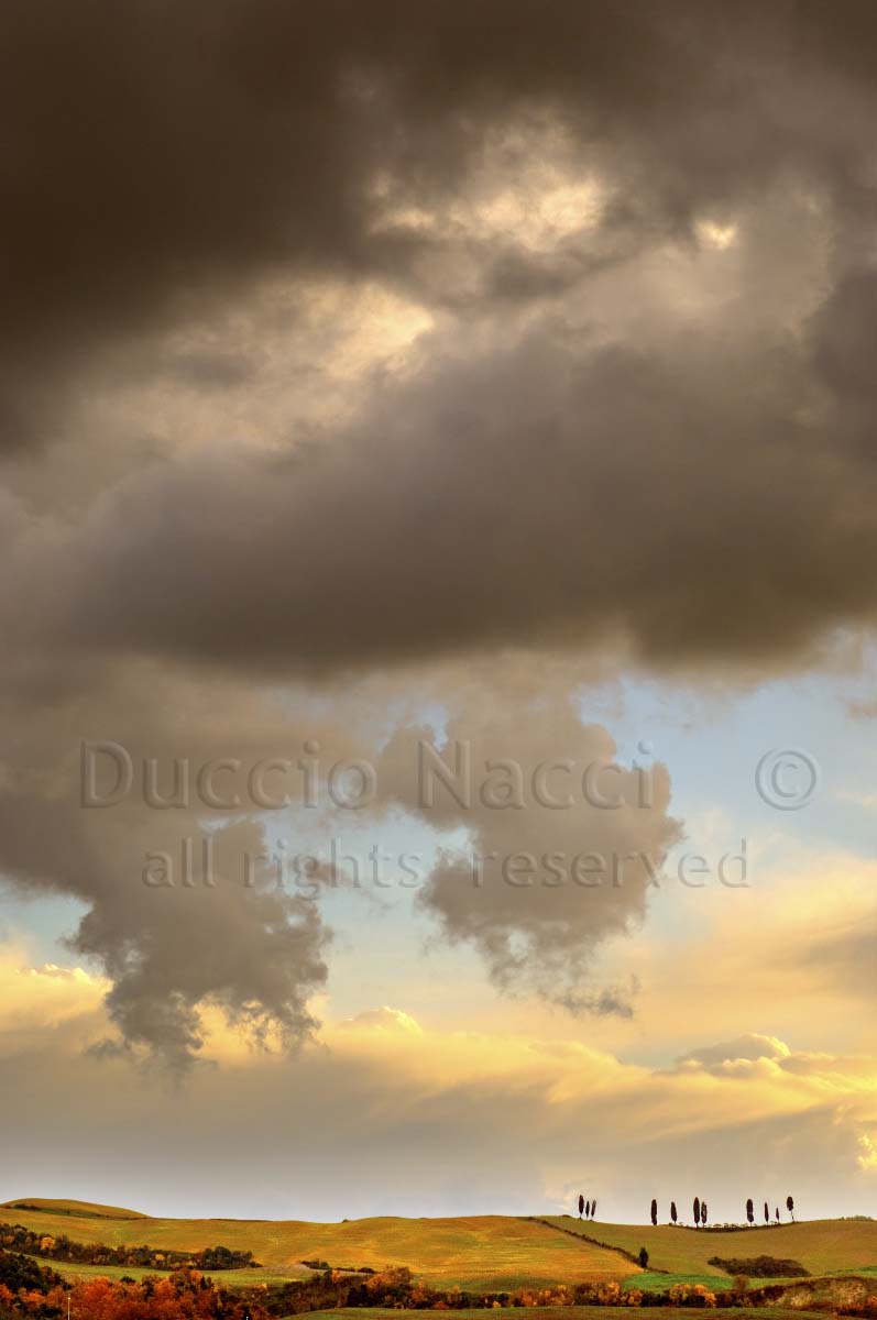 Golden Hills - Duccio Nacci