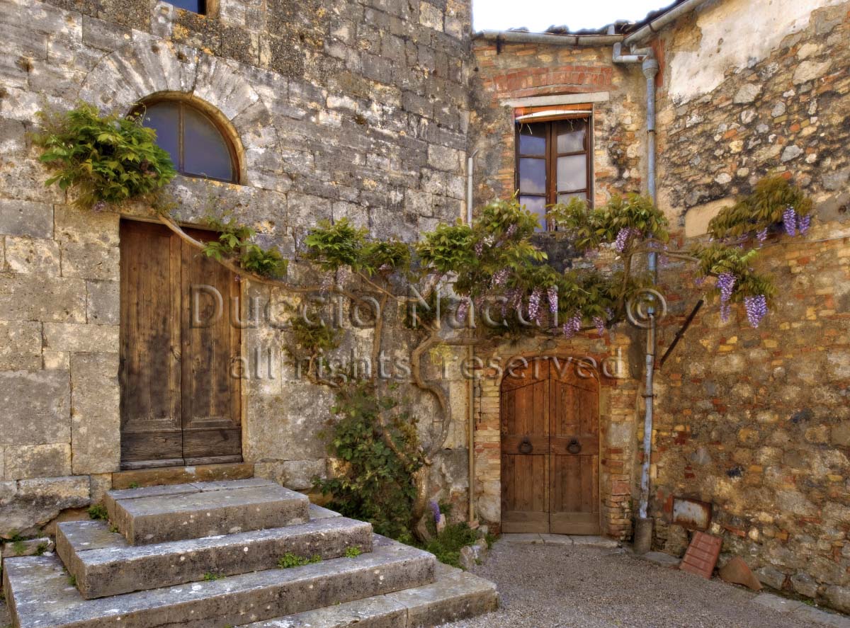The Hidden Garden - Duccio Nacci