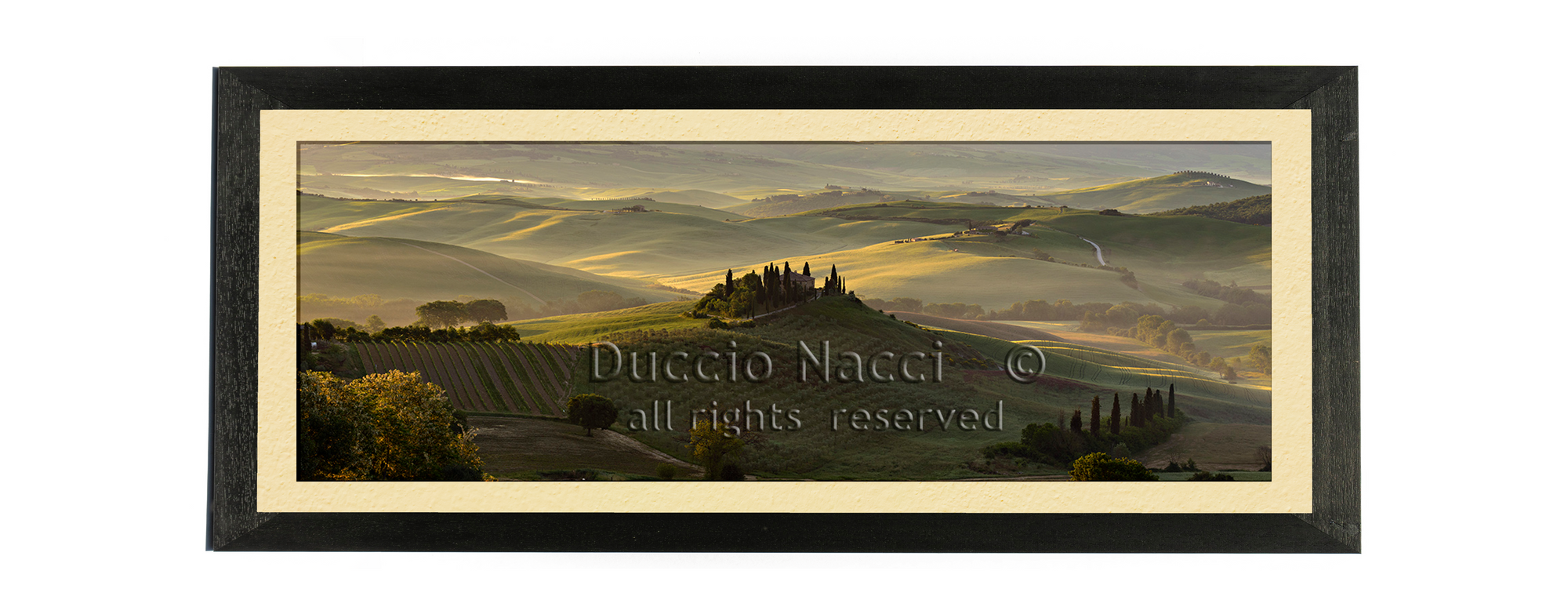 The Suspended Landscape - Stretched - Duccio Nacci