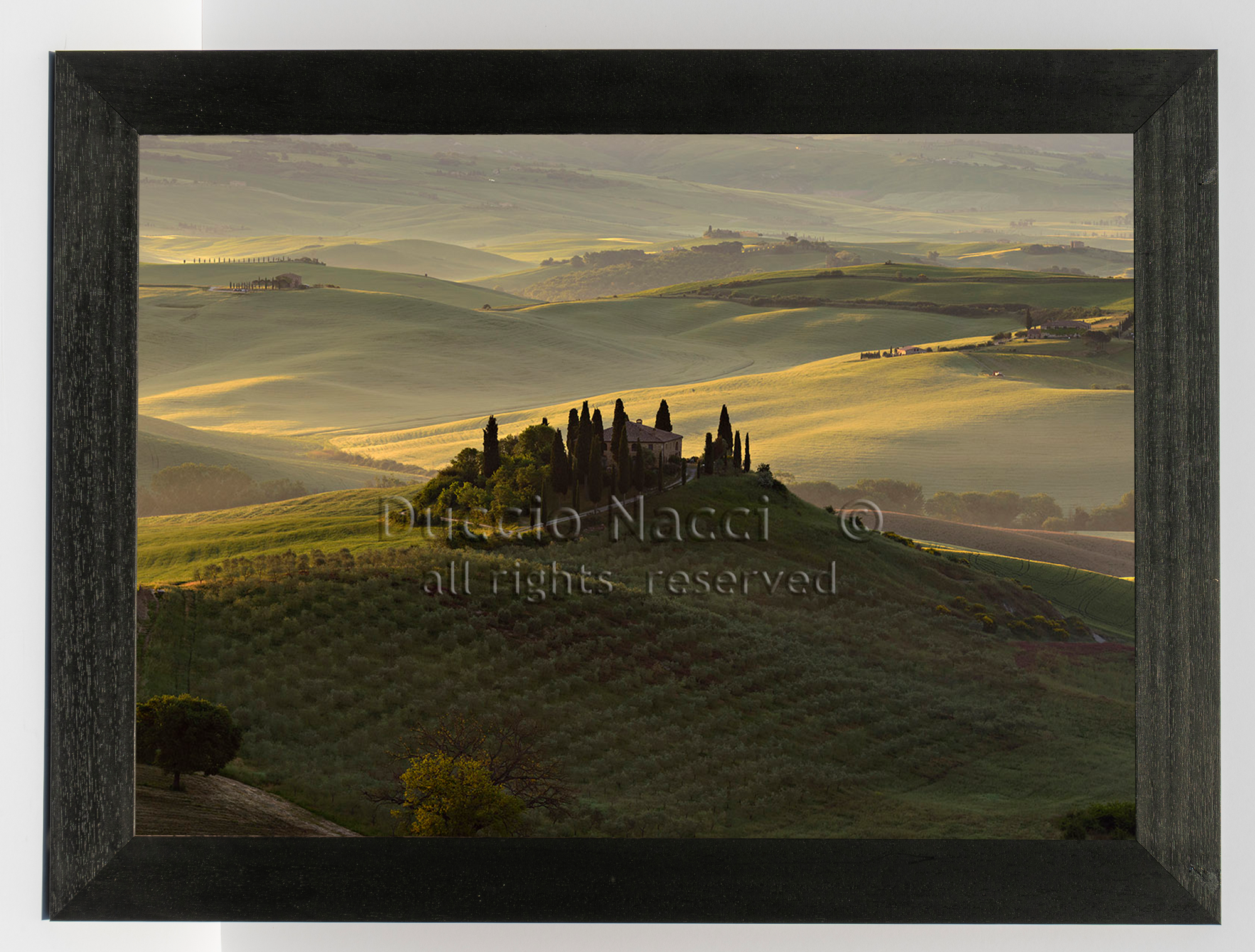 The Suspended Landscape - Duccio Nacci