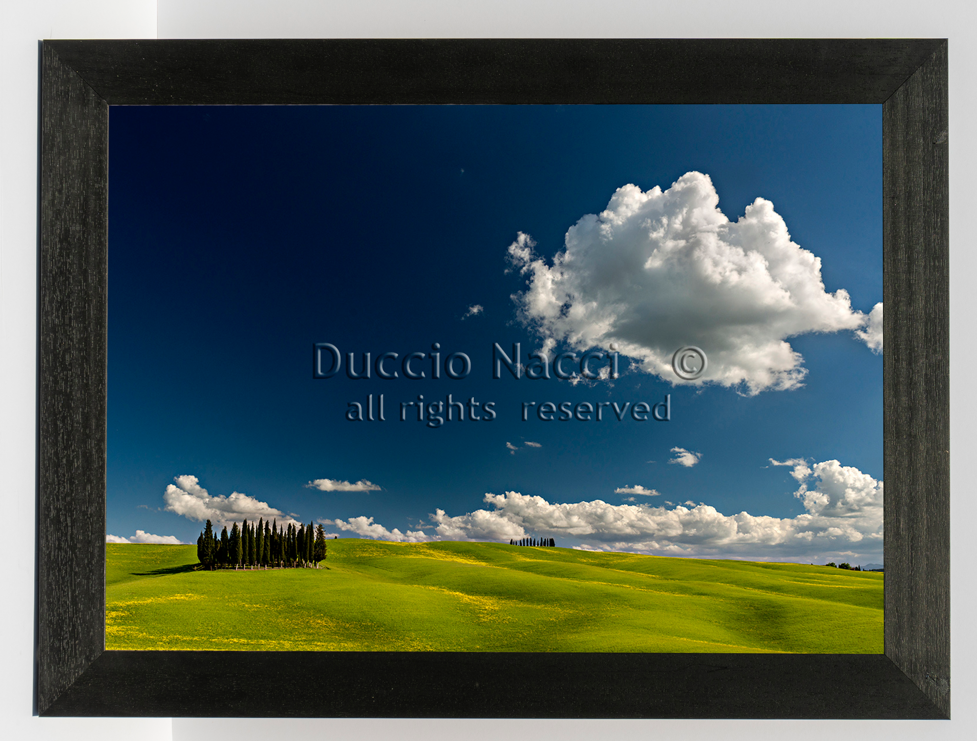 Cypress Island - Duccio Nacci