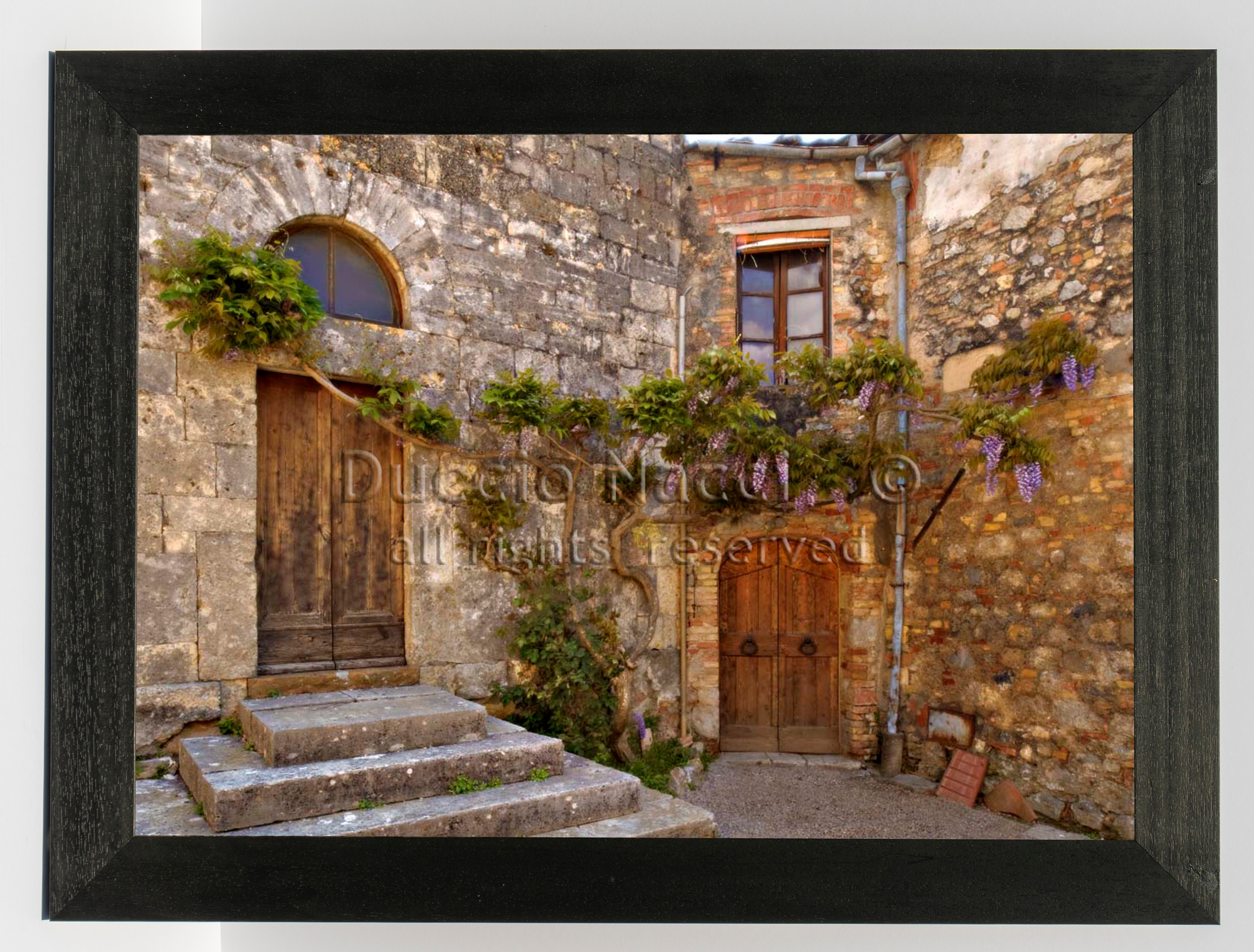The Hidden Garden - Duccio Nacci