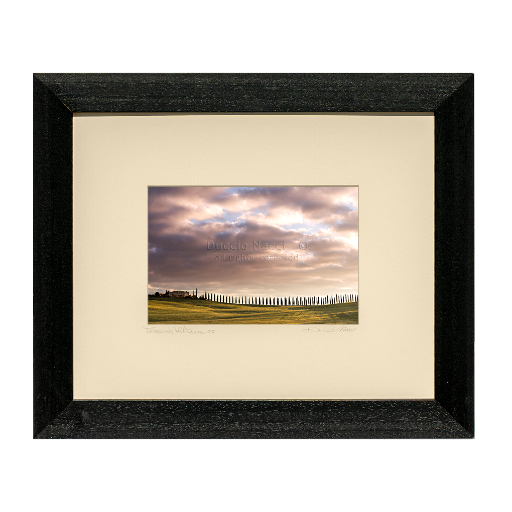 Timeless Crypress - Duccio Nacci