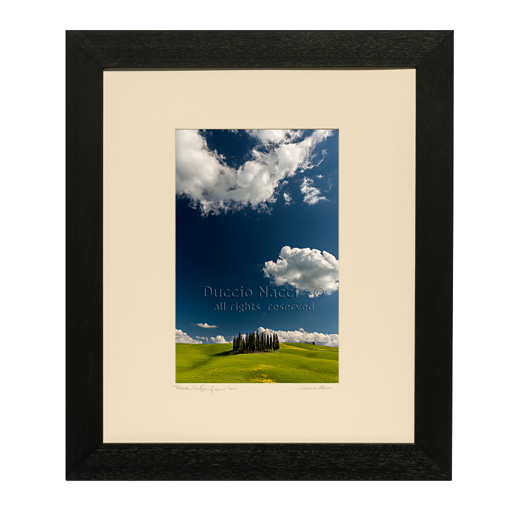 Cypress Island - Vertical - Duccio Nacci