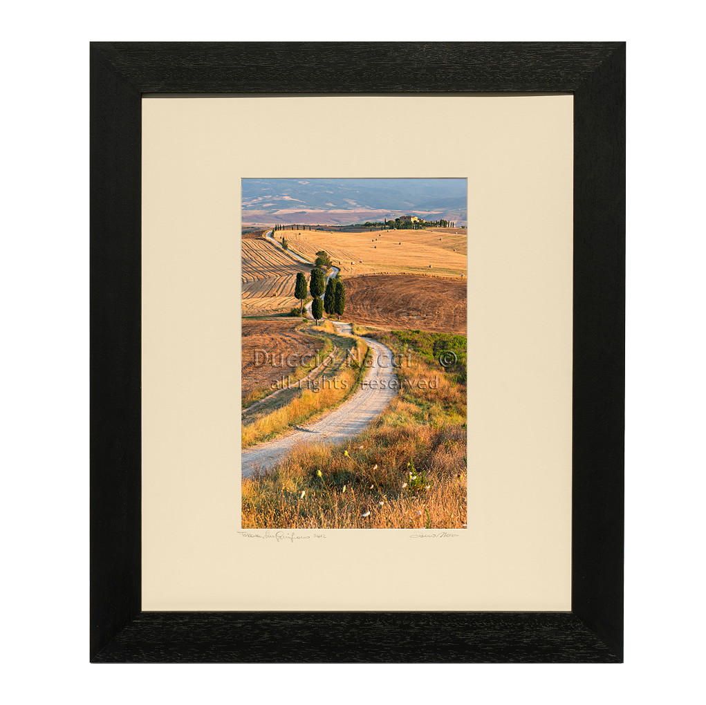 Golden Path - Duccio Nacci