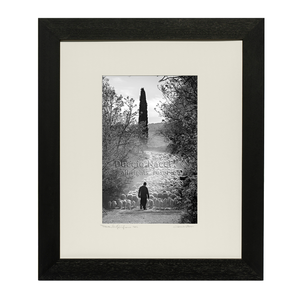 The Flock's Way - Duccio Nacci