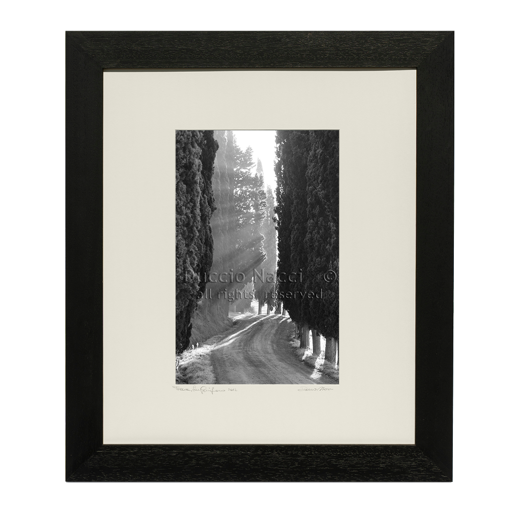 Echo of Lights - Duccio Nacci