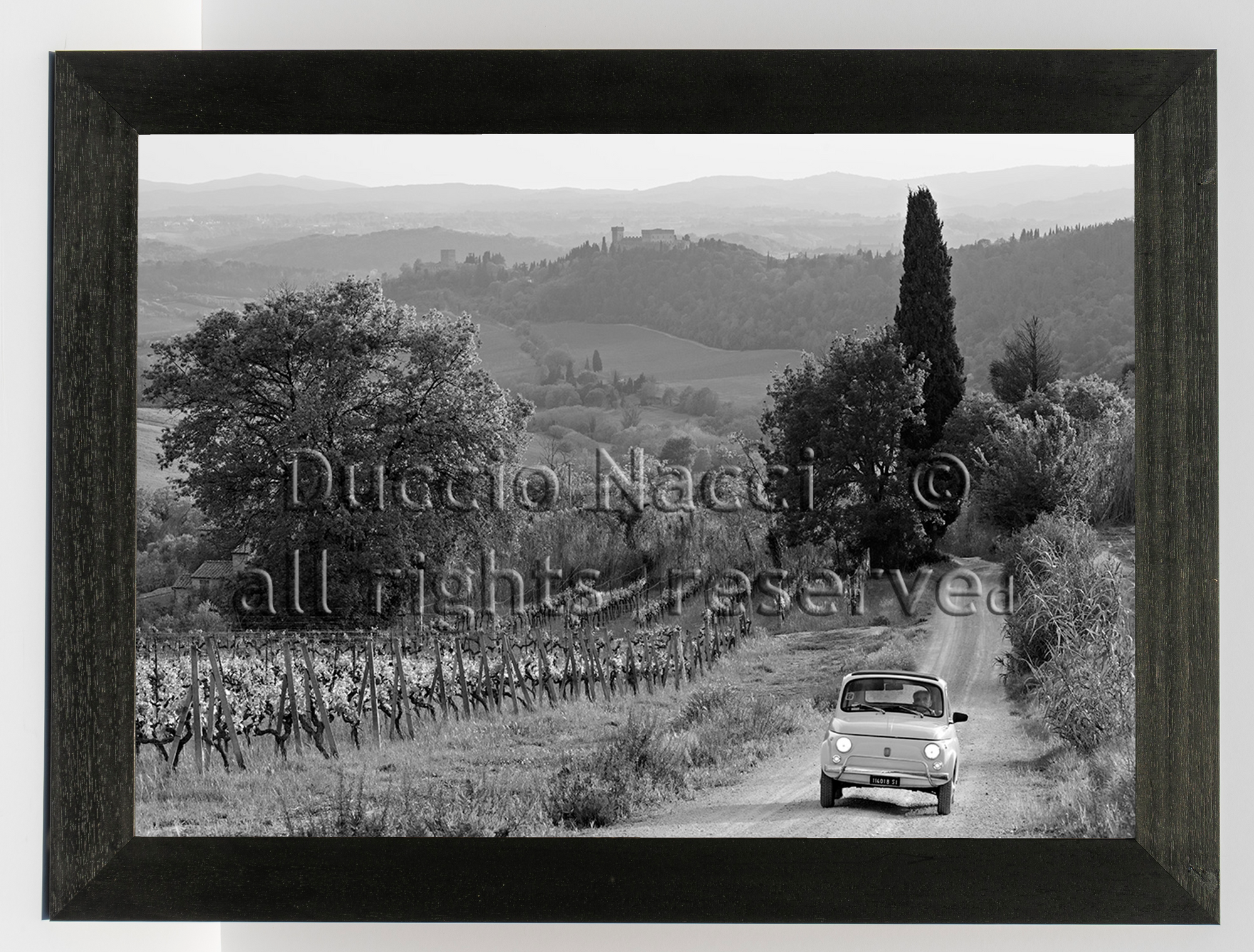 Journey through the  Vineyards - Duccio Nacci