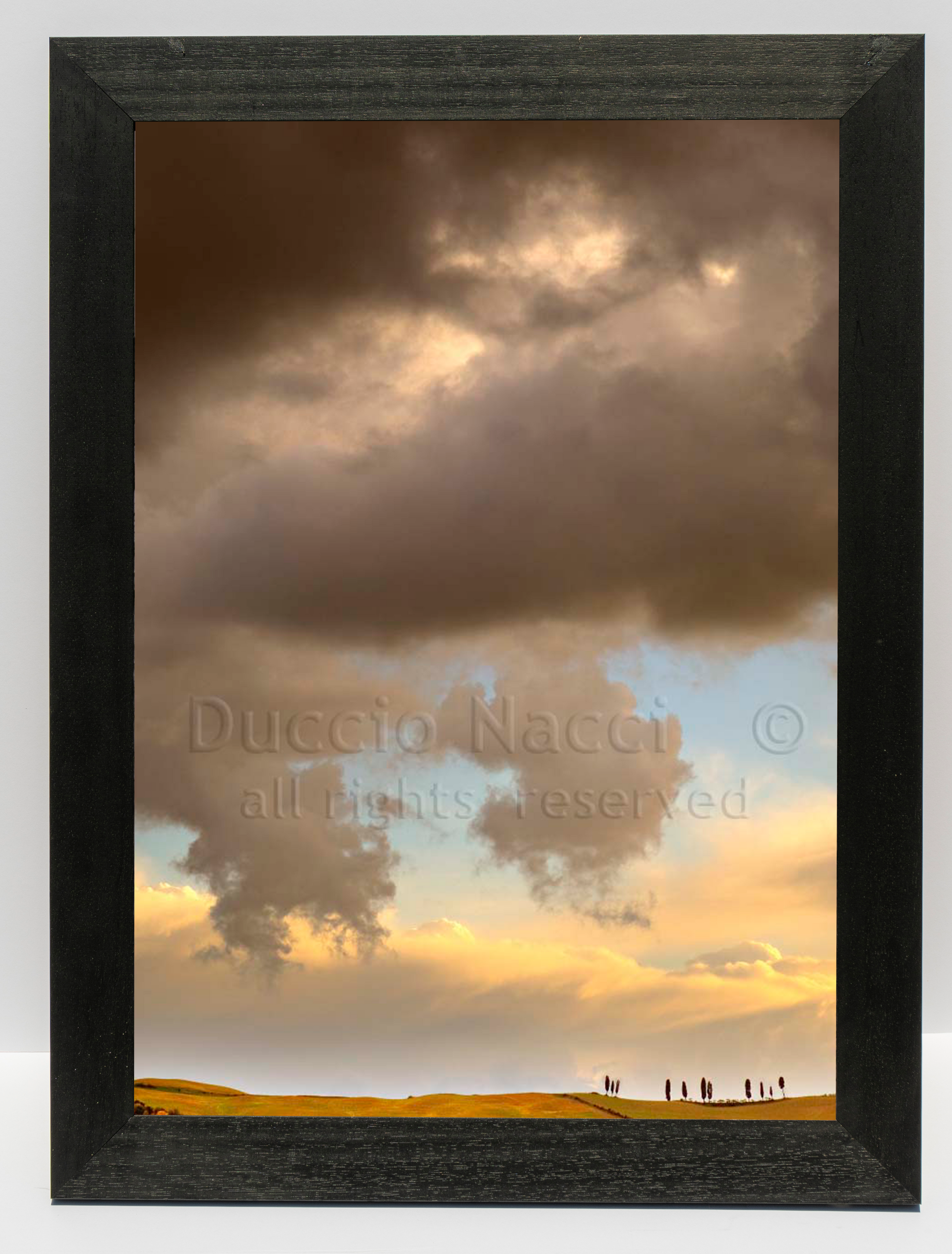 Golden Hills - Duccio Nacci