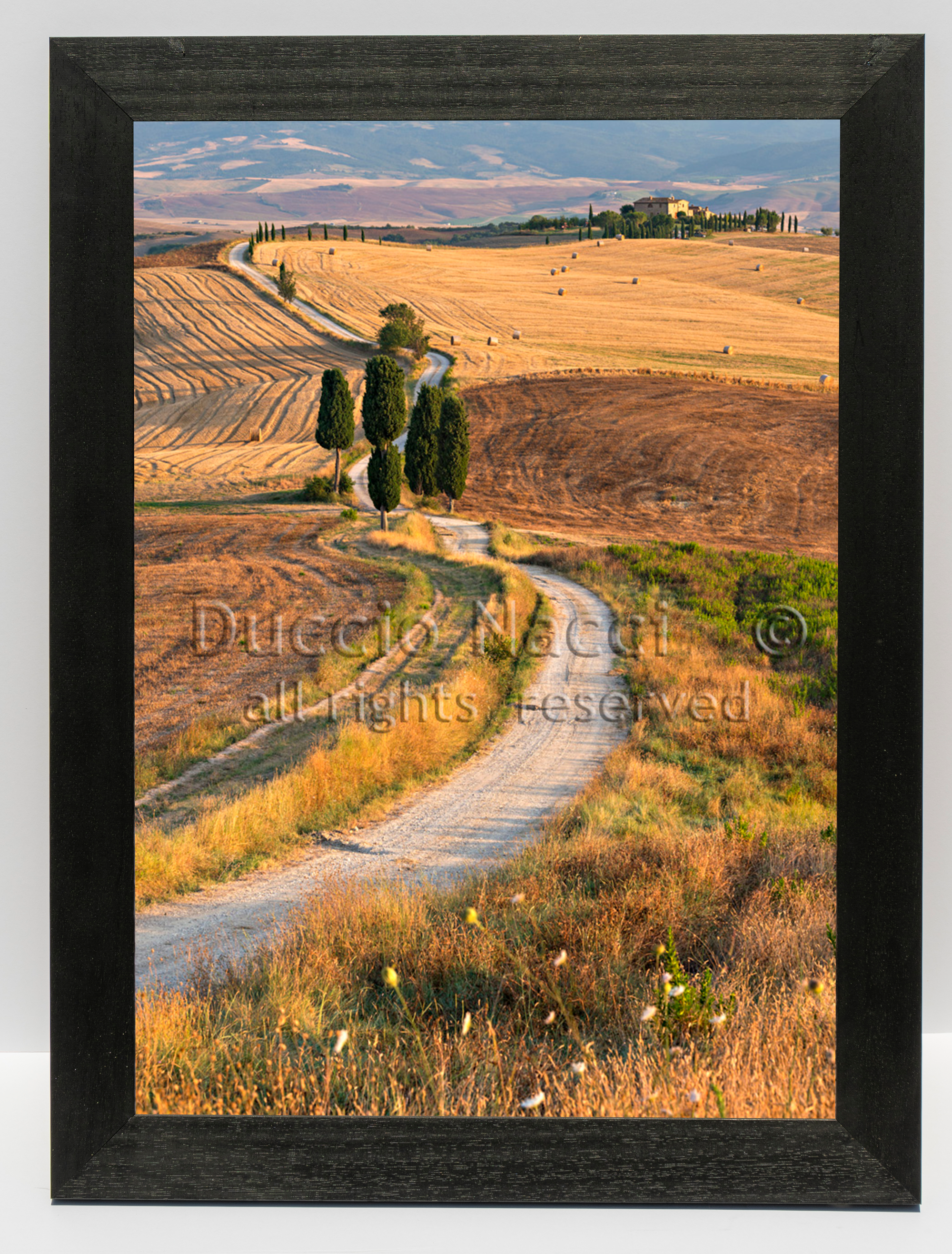 Golden Path - Duccio Nacci